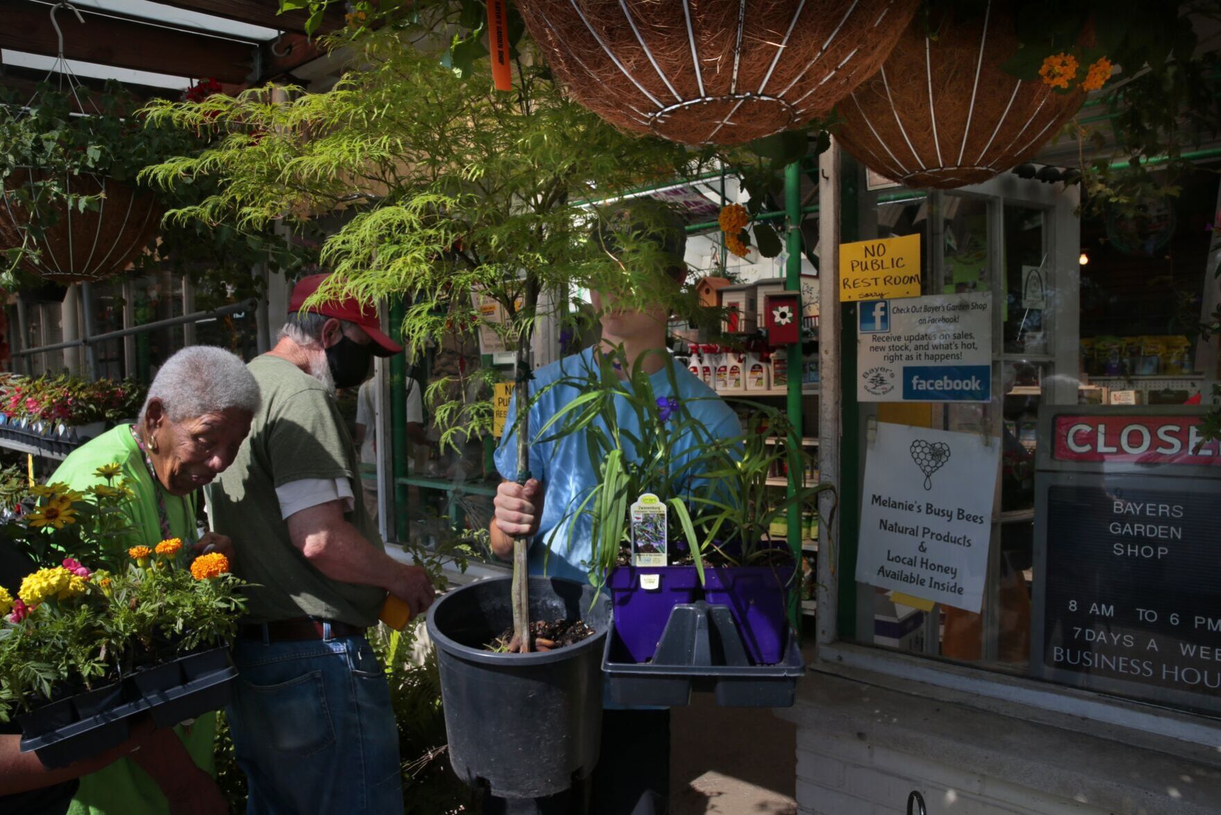 Lack of staff, rising costs bring Bayer's nurseries to closure